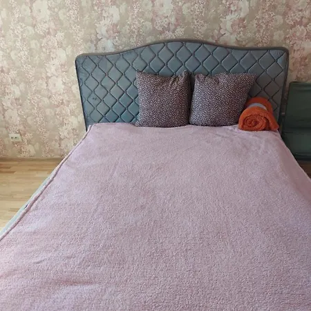 Vp Apartment *